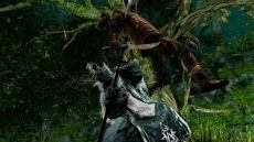 画像ギャラリー No.019のサムネイル画像 / 「DARK SOULS II」,4回目のネットワークテストを11月10日16:00〜19:00に追加実施。新たなスクリーンショットも多数公開