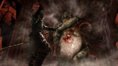 画像ギャラリー No.020のサムネイル画像 / 「DARK SOULS II」,4回目のネットワークテストを11月10日16:00〜19:00に追加実施。新たなスクリーンショットも多数公開