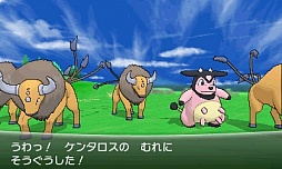 画像ギャラリー No.036のサムネイル画像 / 「ポケットモンスター X・Y」，いよいよ本日発売。ぜひ知っておきたい新要素の数々を，新たに登場するポケモンたちとまとめて紹介