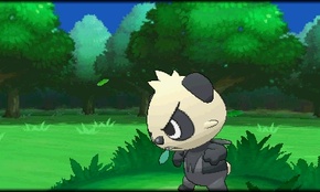 画像ギャラリー No.228のサムネイル画像 / 「ポケットモンスター X・Y」,いよいよ本日発売。ぜひ知っておきたい新要素の数々を,新たに登場するポケモンたちとまとめて紹介