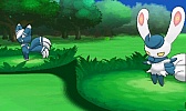 画像ギャラリー No.332のサムネイル画像 / 「ポケットモンスター X・Y」，いよいよ本日発売。ぜひ知っておきたい新要素の数々を，新たに登場するポケモンたちとまとめて紹介
