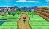 ポケットモンスター Y