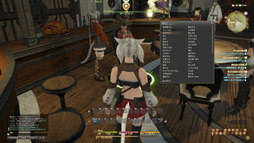 画像ギャラリー No.014のサムネイル画像 / MMORPG初心者のFFファンに贈る「新生FFXIV」ガイド。第3回は,基本的な操作方法と主な都市機能,そして序盤のゲームプレイを紹介