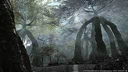 画像ギャラリー No.058のサムネイル画像 / ついにイシュガルドが舞台となる拡張パック「ファイナルファンタジーXIV:蒼天のイシュガルド」発表。レベルキャップ解放や追加要素が発表された基調講演をレポート