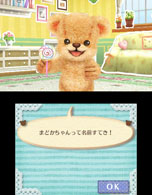 画像ギャラリー No.056のサムネイル画像 / 「しんゆうができちゃうゲーム クマ♡トモ」2013年内に発売。人工無脳のクマとコミュニケーションを通じて,絆を深めよう