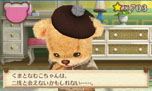 画像ギャラリー No.054のサムネイル画像 / 「しんゆうができちゃうゲーム クマ♡トモ」,クマとのおしゃべりで楽しめる会話のバリエーションが明らかに。クマのプロフィールも判明