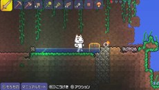 画像ギャラリー No.006のサムネイル画像 / 「テラリア」PS Vita版に“モノミ”や“トロ”の装備が追加アイテムとして収録されることが明らかに。PS3版にもパッチで配布予定