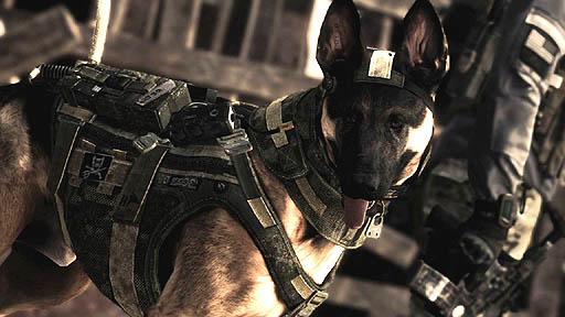 画像ギャラリー No.003のサムネイル画像 / 「Call of Duty: Ghosts」，未公開プレイシーンを含む映像のライブ配信が，北米時間の2013年6月9日にスタート
