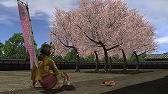 画像ギャラリー No.003のサムネイル画像 / 「信長の野望 Online 〜天下夢幻の章〜」,2014年7月までのロードマップが公開