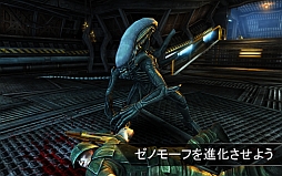 AVP： Evolution