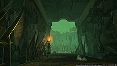 画像ギャラリー No.047のサムネイル画像 / 「新生FFXIV」，プロデューサーレターを補完するパッチ2.5「希望の灯火」の最新情報が公開。約10分におよぶ紹介トレイラーも