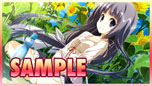 画像ギャラリー No.012のサムネイル画像 / 「向日葵の教会と長い夏休み -extra vacation-」の発売日が10月31日に決定。初回限定版の同梱特典のイメージや予約特典なども明らかに