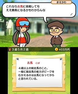 画像ギャラリー No.006のサムネイル画像 / ゲームフリークの新作は“ソリティア×競馬”。3DS向けDL専用ソフト「ソリティ馬」が7月31日10時に配信開始