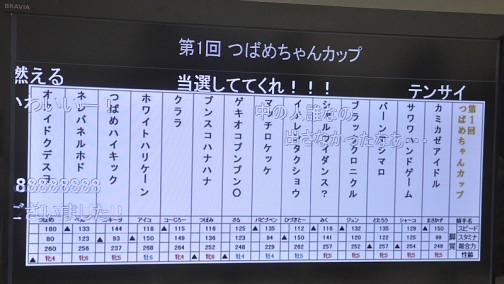 画像ギャラリー No.021のサムネイル画像 / 約800頭の頂点が決定。つばめちゃんへの愛も試された，3DS「ソリティ馬」公式大会「第2回ゲーフリカップ」ファイナルカップレポート
