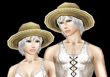 画像ギャラリー No.012のサムネイル画像 / 「ステラセプトオンライン」，イベント“真夏のバカンス”を開催