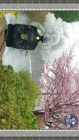 完乗！全国鉄道の旅