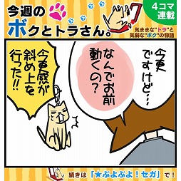 画像ギャラリー No.001のサムネイル画像 / 「★ぷよぷよ!セガ」,New 3DSなどが当たるプレゼントキャンペーンを実施