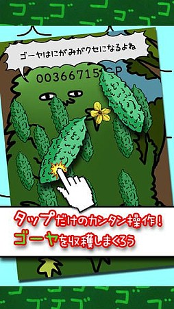 毎日のゴーヤ