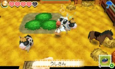 画像ギャラリー No.007のサムネイル画像 / 「牧場物語 つながる新天地」，野生動物の生息域「サファリ」の情報が明らかに。環境を整えて動物の世話をしよう