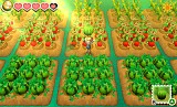 牧場物語 つながる新天地