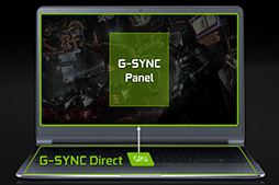 画像ギャラリー No.016のサムネイル画像 / 西川善司の3DGE:DirectX 12.0と12.1の違いからG-SYNCの新情報まで。NVIDIAが明かす「あなたの知らないGeForce」