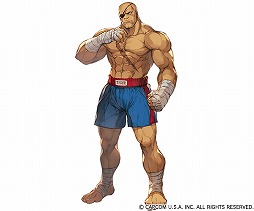 画像ギャラリー No.004のサムネイル画像 / 「グランブルーファンタジー」で「ウルトラストリートファイターIV」コラボが11月13日19:00にスタート。リュウ,春麗ら4名の格闘家が登場