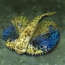 画像ギャラリー No.013のサムネイル画像 / 「大航海時代V」,新ストーリーを追加するアップデート「消えた獅子王」が実装。サマーLRスカウトも