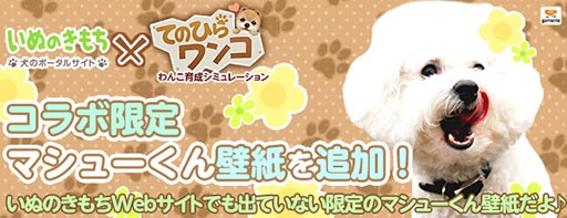画像ギャラリー No.002のサムネイル画像 / 「てのひらワンコ」，いぬのきもちのマシュー君の限定壁紙が登場