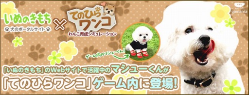 画像ギャラリー No.002のサムネイル画像 / 「てのひらワンコ」に，Webサイト「いぬのきもち」のマシューくんが登場