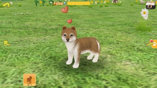 画像ギャラリー No.005のサムネイル画像 / 「てのひらワンコ」,条件達成で“秋田犬”が手に入る「ハチ公冒険イベント」