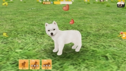 画像ギャラリー No.006のサムネイル画像 / 「てのひらワンコ」,条件達成で“秋田犬”が手に入る「ハチ公冒険イベント」