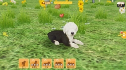 画像ギャラリー No.007のサムネイル画像 / 「てのひらワンコ」,条件達成で“秋田犬”が手に入る「ハチ公冒険イベント」