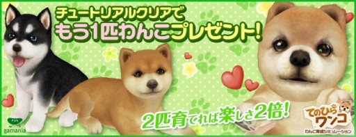 画像ギャラリー No.001のサムネイル画像 / 「てのひらワンコ」，チュートリアルクリアボーナスで，もう1匹わんこがもらえる