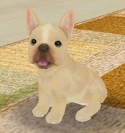 画像ギャラリー No.009のサムネイル画像 / 「てのひらワンコ」，チュートリアルクリアボーナスで，もう1匹わんこがもらえる