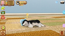 画像ギャラリー No.003のサムネイル画像 / スマホで始める新しいペットライフ。スマホ向け育成ゲーム「てのひらワンコ」を紹介する「（ほぼ）日刊スマホゲーム通信」第746回