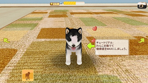 画像ギャラリー No.005のサムネイル画像 / スマホで始める新しいペットライフ。スマホ向け育成ゲーム「てのひらワンコ」を紹介する「（ほぼ）日刊スマホゲーム通信」第746回