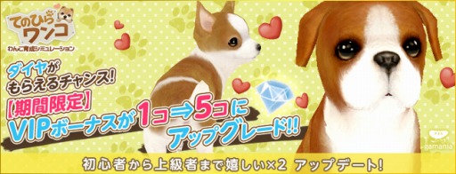 画像ギャラリー No.001のサムネイル画像 / 「てのひらワンコ」，お得な便利アイテムや洋服などが入ったボックスが登場