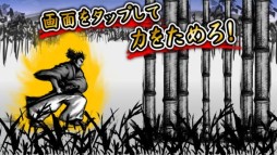 侍波動剣