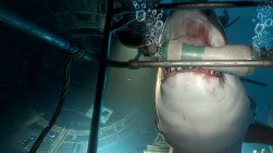 画像ギャラリー No.017のサムネイル画像 / PlayStation VRのメディア向け体験会でさまざまなソフトを体験し，楽しみ方やその可能性を考えてみた