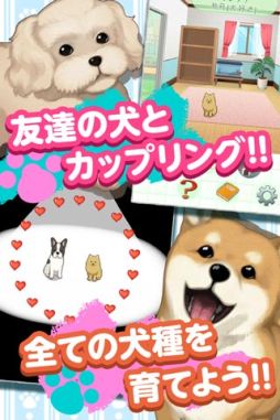 画像ギャラリー No.005のサムネイル画像 / 育成SLG「ウチの犬〜飼い主になってください〜」がauスマートパスで配信に