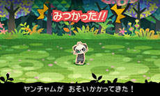 画像ギャラリー No.008のサムネイル画像 / 「とうぞくと1000びきのポケモン」，ゲームの流れや攻略に関するアドバイスなど，新情報を一挙紹介