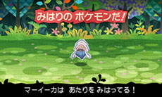 画像ギャラリー No.009のサムネイル画像 / 「とうぞくと1000びきのポケモン」，ゲームの流れや攻略に関するアドバイスなど，新情報を一挙紹介
