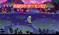 画像ギャラリー No.018のサムネイル画像 / 「とうぞくと1000びきのポケモン」，ゲームの流れや攻略に関するアドバイスなど，新情報を一挙紹介