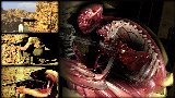 スナイパーエリート3