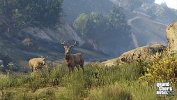 画像ギャラリー No.009のサムネイル画像 / 「Grand Theft Auto V」PS4版/Xbox One版の発売日が2014年11月18日に決定。PC版は2015年1月27日発売予定