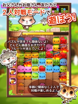 ねこねこフルーツ♪