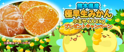 画像ギャラリー No.001のサムネイル画像 / 「ハッピーベジフル」，極早生みかん（小玉サイズ）2kgがプレゼント
