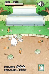 画像ギャラリー No.004のサムネイル画像 / ウサギを進化させる育成SLG「これはうさぎですか？」スマホ向けに配信開始