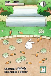画像ギャラリー No.008のサムネイル画像 / ウサギを進化させる育成SLG「これはうさぎですか？」スマホ向けに配信開始