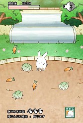 画像ギャラリー No.011のサムネイル画像 / ウサギを進化させる育成SLG「これはうさぎですか？」スマホ向けに配信開始